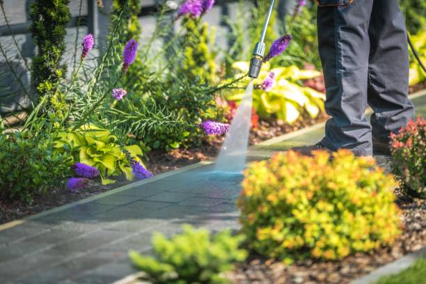 Best Fence Cleaning  in Glencoe, IL